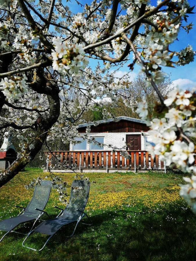 Ferienhaus Chiara, Suedharz, Harztor Ilfeld エクステリア 写真